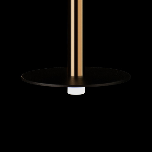 10358/830 Disk AB Подвесной светильник LOFT IT Reed фото 9 10358/830 Disk AB Подвесной светильник LOFT IT Reed фото 9