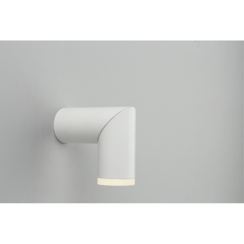 Светильник встраиваемый-накладной OML-100209-10 фото 4