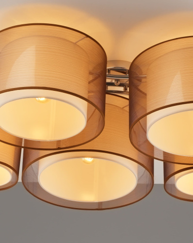Светильник потолочный Moderli V10624-5C Room фото 4