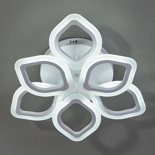 Потолочный светильник Escada 10212/6 LED*56W White фото 3