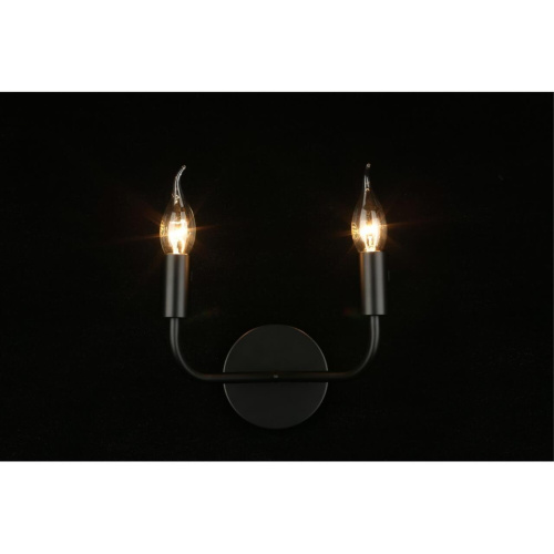 Светильник настенный (Бра) APL.338.11.02 фото 8