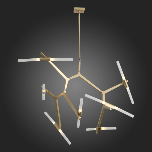 SL947.202.14 Люстра потолочная ST-Luce Золотистый/Белый G9 14*5W LACONICITA фото 9