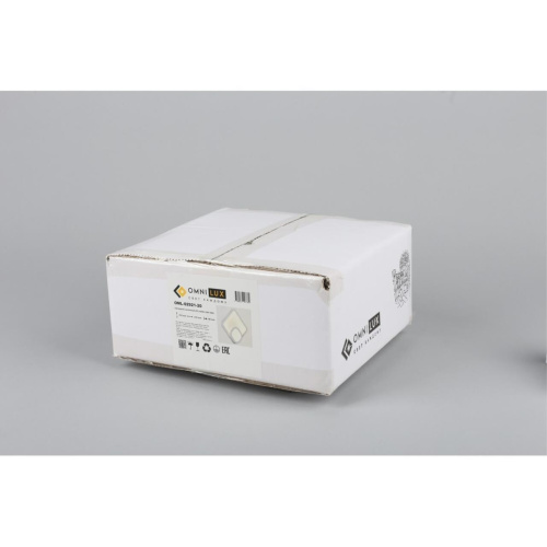 Светильник настенный (Бра) OML-02921-20 фото 6