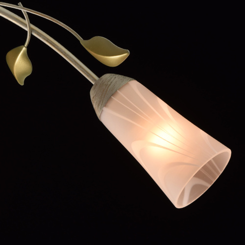 Люстра потолочная MW-Light Восторг 242015306 фото 6