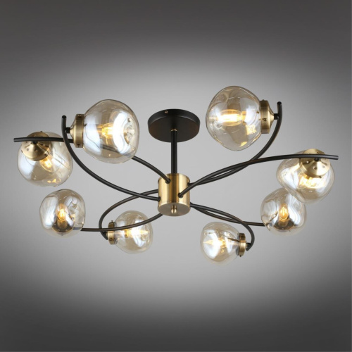 Люстра потолочная OML-95307-08 фото 3