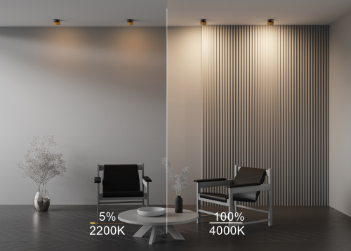 Встраиваемый светильник Technical DL024-12W-DTW-BMG фото 7