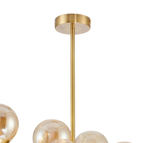 Подвесная люстра Favourite Varietas 2649-14P фото 2 Подвесная люстра Favourite Varietas 2649-14P фото 2