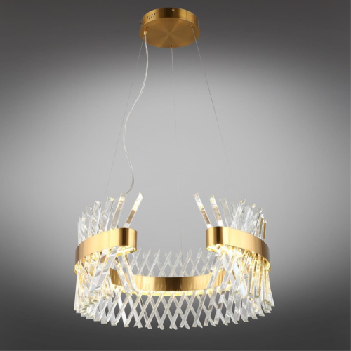 Люстра подвесная OML-99903-62 фото 3