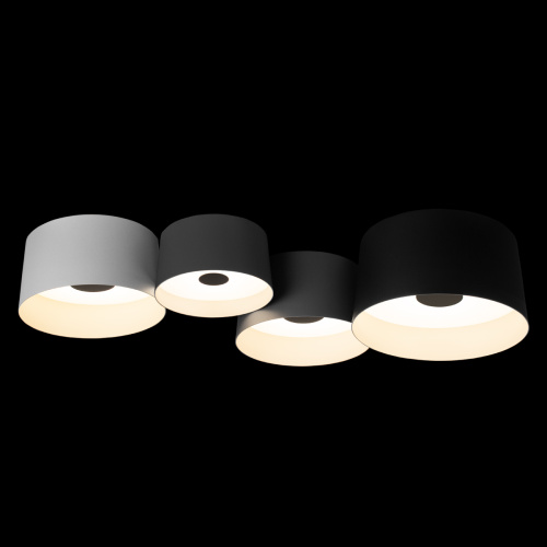 10360/4 Потолочный светильник LOFT IT Duo фото 2 10360/4 Потолочный светильник LOFT IT Duo фото 2