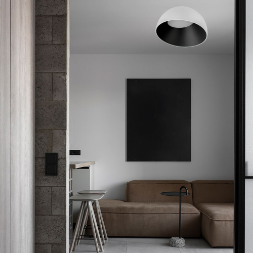 10197/350 WB  Потолочный светильник  LOFT IT Egg фото 7