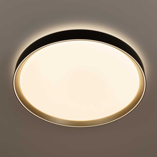 Потолочный светодиодный светильник Citilux Boss CL751451G фото 10