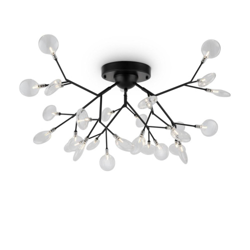 Потолочная люстра Freya Florencia FR5049CL-27B Потолочная люстра Freya Florencia FR5049CL-27B