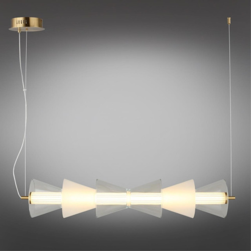 Люстра подвесная OML-51503-21 фото 8 Люстра подвесная OML-51503-21 фото 8