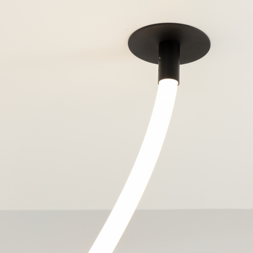 Подвесной светильник Maytoni MOD146PL-L40B3K фото 3