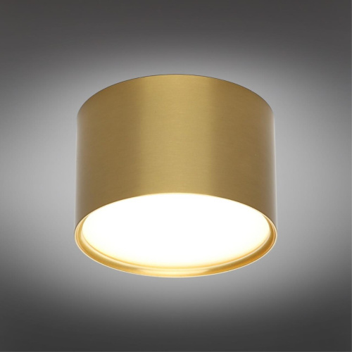 Светильник встраиваемый-накладной OML-100929-06 фото 3 Светильник встраиваемый-накладной OML-100929-06 фото 3