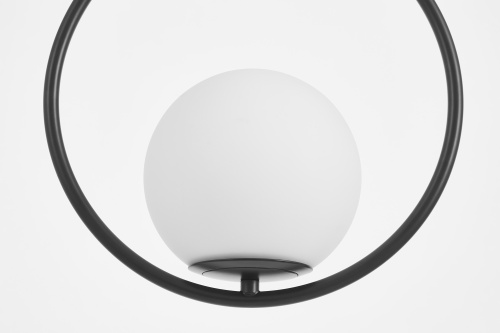 Подвесной светильник Lampit Vero TP 2101-1 BK фото 2