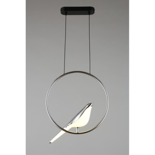 Светильник подвесной APL.822.16.10 фото 5