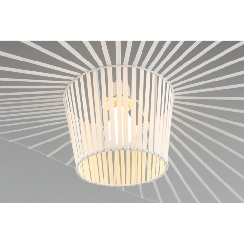 Светильник подвесной APL.656.16.01 фото 4