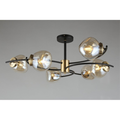 Люстра потолочная OML-95307-06 фото 6