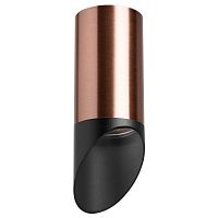 Комплект с потолочным светильником Lightstar Rullo (214430+201437) R43037