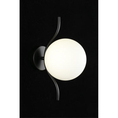 Светильник настенный (Бра) APL.312.01.01 фото 7