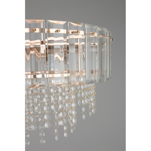 Люстра подвесная OML-69613-10 фото 9