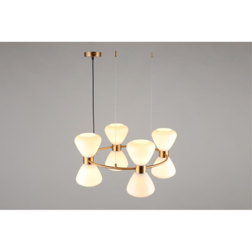 Люстра подвесная OML-59603-08 фото 5