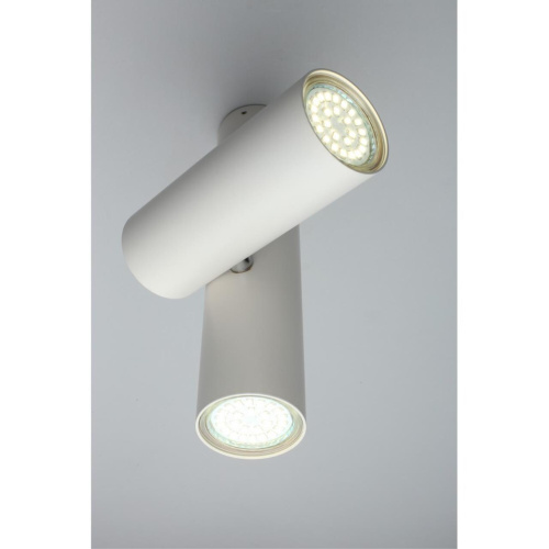 Светильник настенно-потолочный OML-20311-02 фото 2