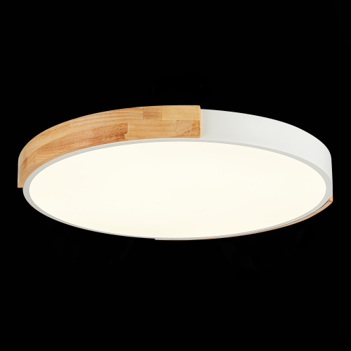 SLE201352-01 Светильник потолочный Белый, Светлое дерево/Белый LED 1*40W 3000K/4000K/6000K DELIA фото 5