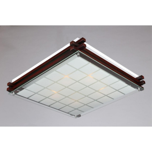 Светильник настенно-потолочный OML-40507-05 фото 3 Светильник настенно-потолочный OML-40507-05 фото 3