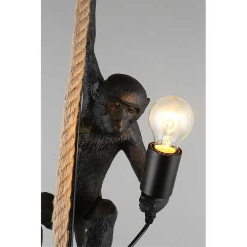 Светильник подвесной APL.309.16.01 фото 8