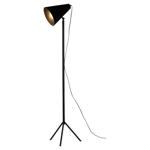 Торшер Lussole Lgo Cozy GRLSP-0563 Торшер Lussole Lgo Cozy GRLSP-0563