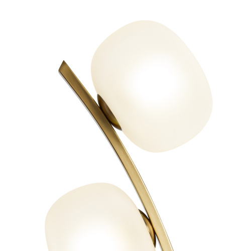 Настольный светильник Freya FR5444TL-03BS фото 8