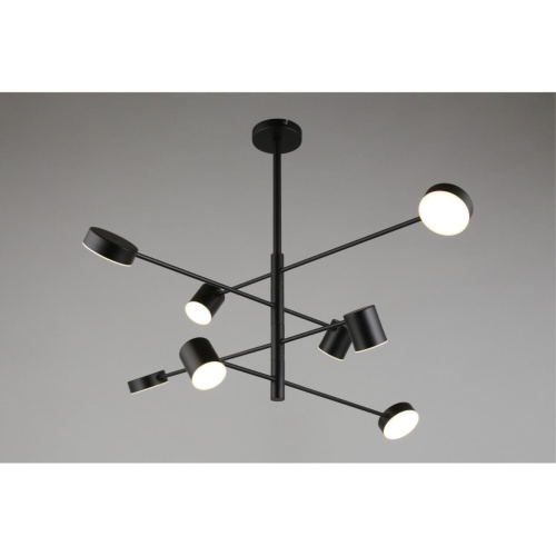 Люстра потолочная APL.017.07.48 фото 3