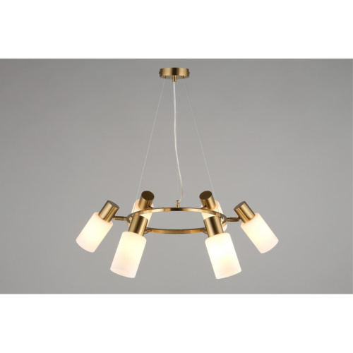 Люстра подвесная OML-69103-06 фото 7