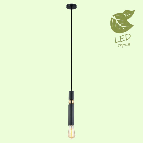 Подвесной светильник Lussole Loft Truman GRLSP-8145 фото 3