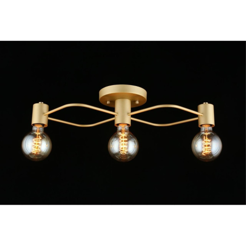 Люстра потолочная APL.911.07.03 фото 10