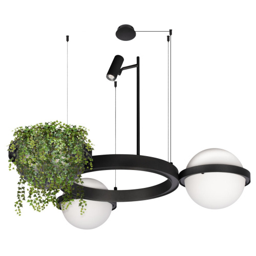 10121/2 Подвесной светильник LOFT IT Jardin фото 4