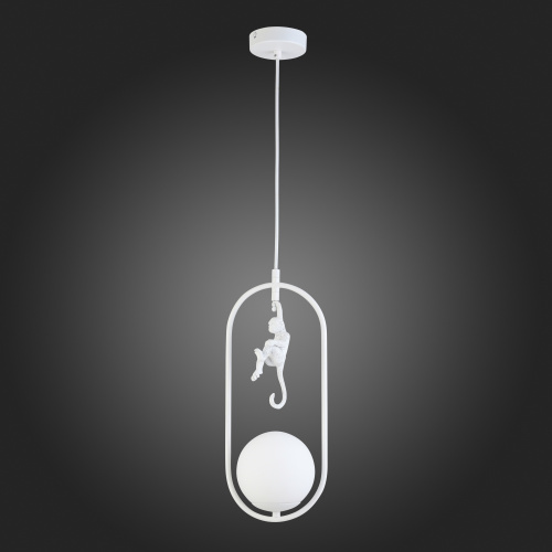 SLE115123-01 Подвес Белый/Белый E27 1*60W TENATO фото 7