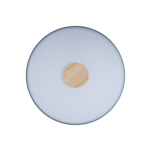 10003/24 Grey Потолочный светильник LOFT IT Axel фото 3