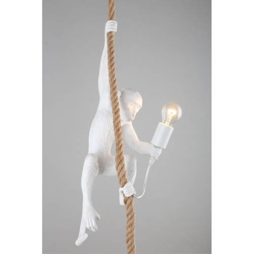 Светильник подвесной APL.309.06.01 фото 6