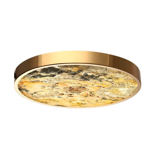 Настенно-потолочный светильник Odeon Light BERGI 5079/40L фото 2