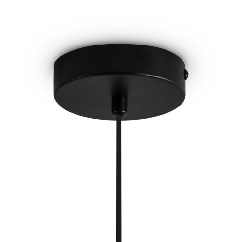 Подвесной светильник Freya FR5593PL-01B1 фото 6