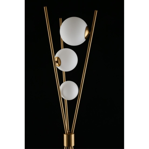 Торшер APL.348.15.03 фото 10 Торшер APL.348.15.03 фото 10