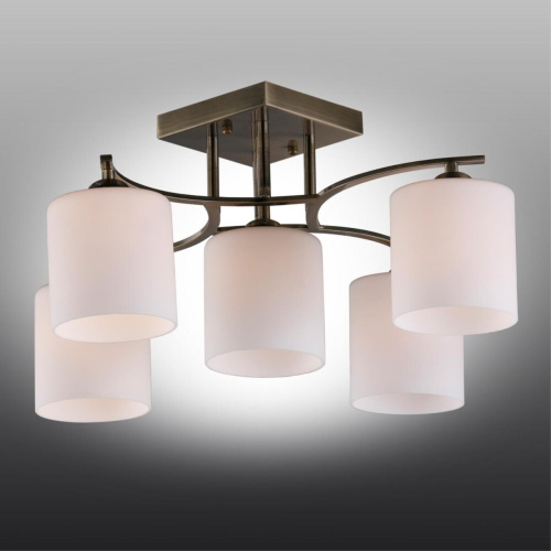 Люстра потолочная OML-55317-05 фото 3