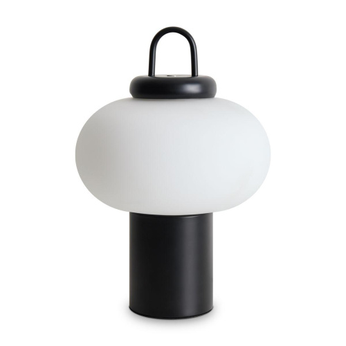 Настольная лампа Freya Take FR6175TL-L10B Настольная лампа Freya Take FR6175TL-L10B