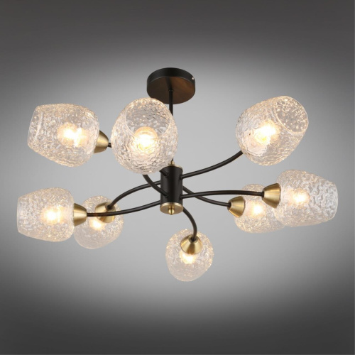 Люстра потолочная OML-67807-08 фото 3 Люстра потолочная OML-67807-08 фото 3