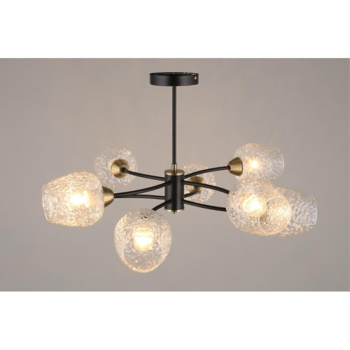 Люстра потолочная OML-67807-08 фото 5 Люстра потолочная OML-67807-08 фото 5