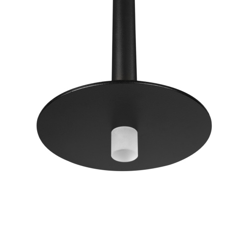 10358/830 Disk Подвесной светильник LOFT IT Reed фото 3 10358/830 Disk Подвесной светильник LOFT IT Reed фото 3