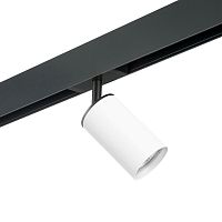 Комплект с трековым светильником Lightstar Rullo (214436+595057) PRO436